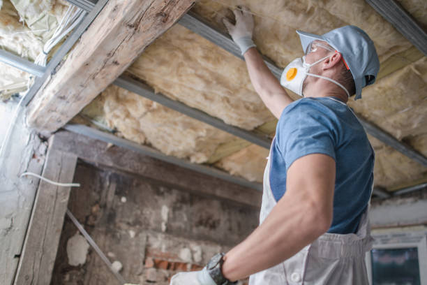 Attic Insulation Near Me in Cibecue, AZ